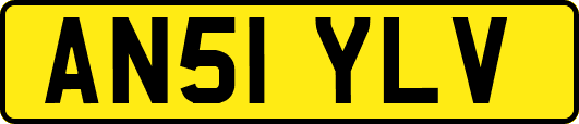 AN51YLV
