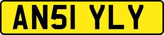 AN51YLY