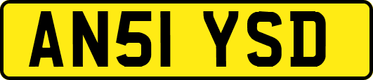 AN51YSD