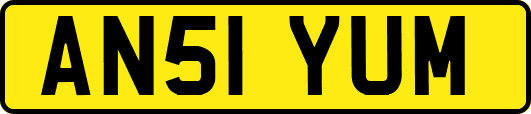 AN51YUM