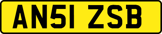 AN51ZSB
