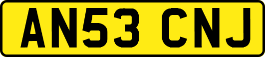 AN53CNJ