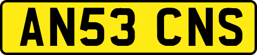 AN53CNS