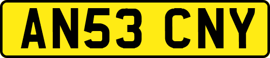 AN53CNY