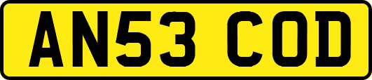 AN53COD