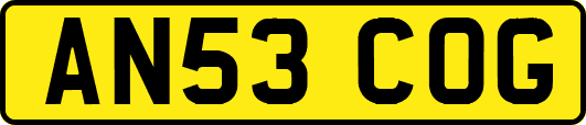 AN53COG