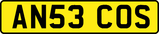 AN53COS