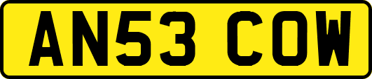 AN53COW