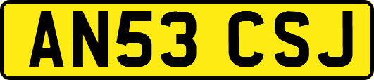 AN53CSJ