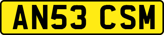 AN53CSM