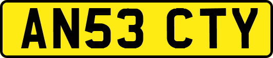 AN53CTY