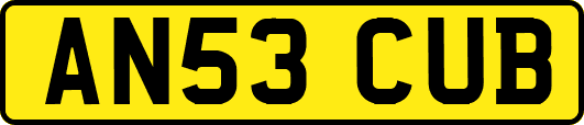 AN53CUB