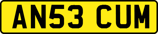 AN53CUM