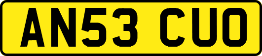 AN53CUO