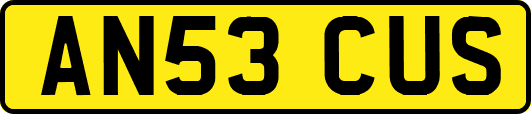 AN53CUS