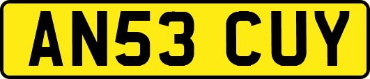 AN53CUY