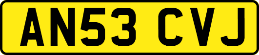 AN53CVJ