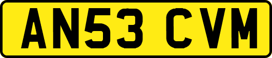 AN53CVM