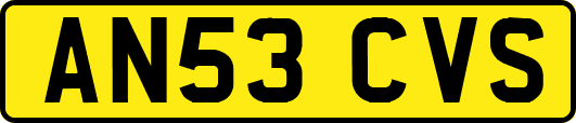AN53CVS
