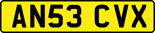 AN53CVX