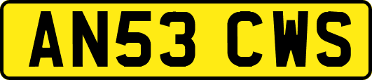 AN53CWS