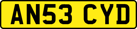 AN53CYD