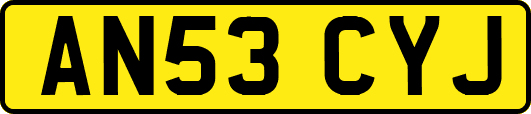 AN53CYJ