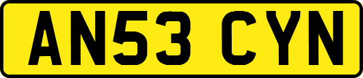 AN53CYN