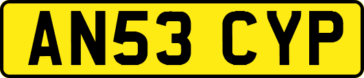 AN53CYP