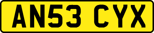 AN53CYX