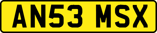 AN53MSX