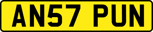 AN57PUN