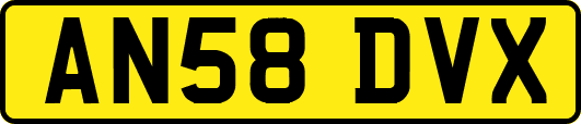 AN58DVX