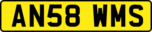 AN58WMS