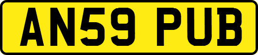 AN59PUB