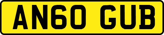 AN60GUB