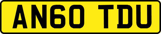 AN60TDU