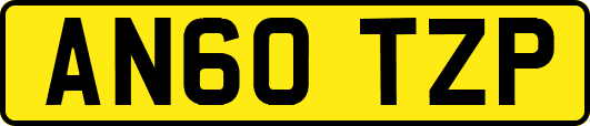 AN60TZP