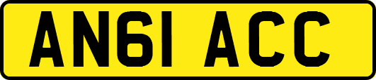 AN61ACC