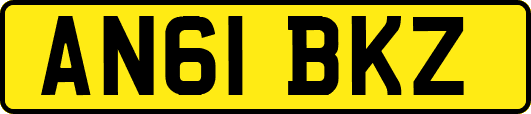AN61BKZ