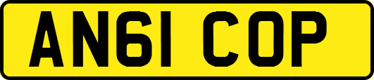 AN61COP