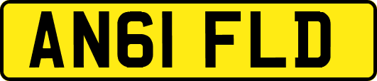 AN61FLD