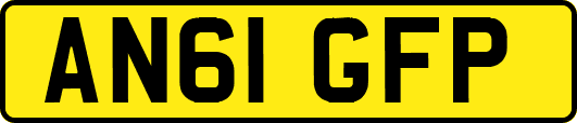 AN61GFP