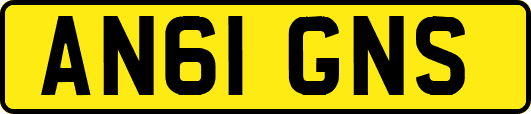 AN61GNS