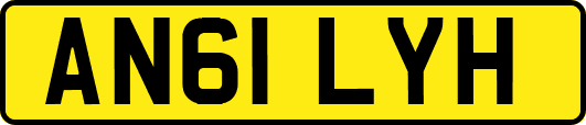 AN61LYH
