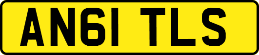 AN61TLS