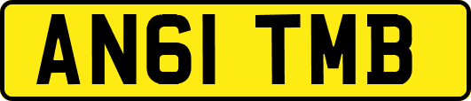 AN61TMB