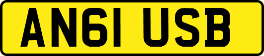 AN61USB