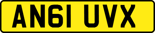 AN61UVX