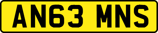 AN63MNS
